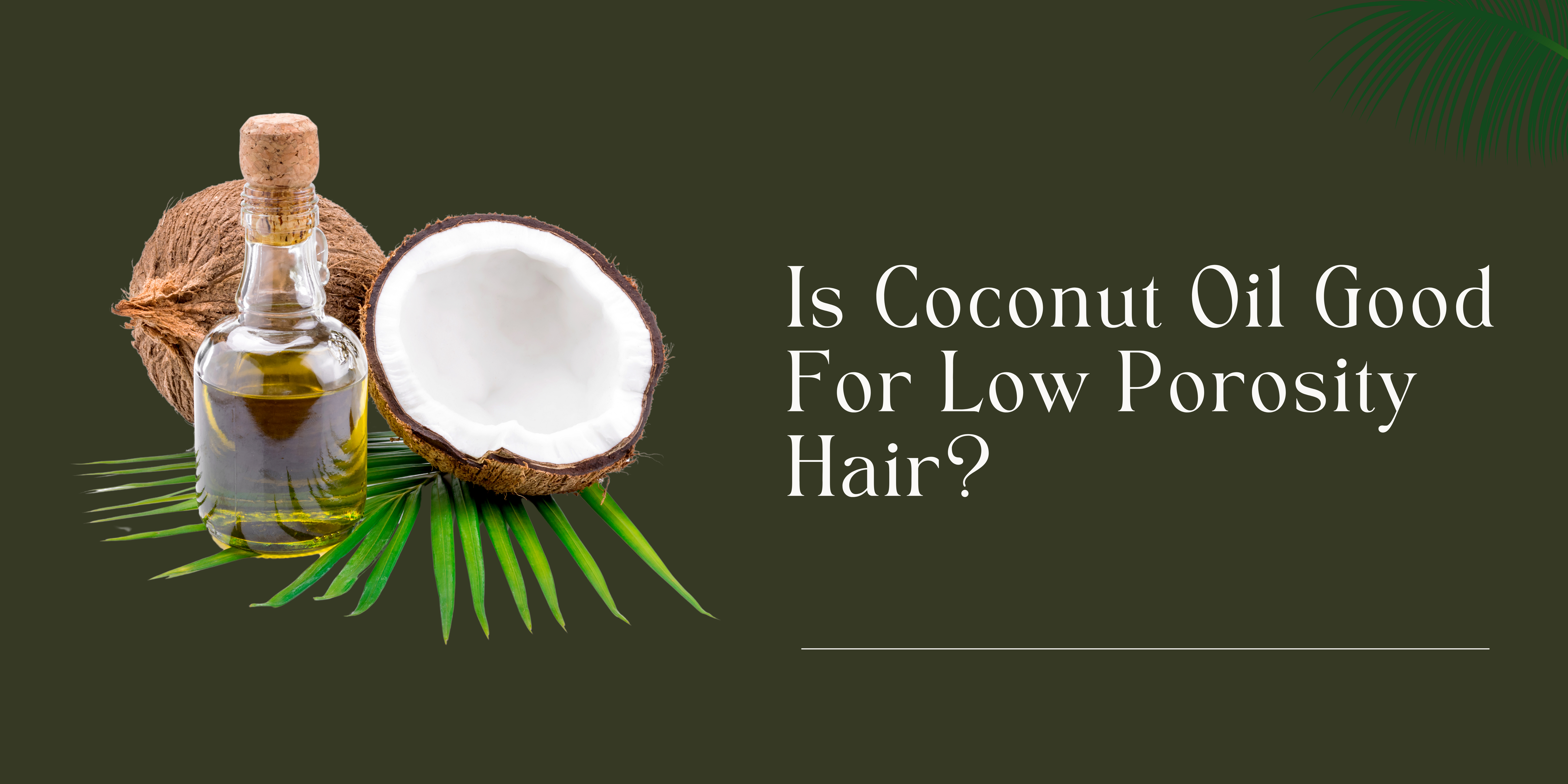 Is coconut oil good for low porosity hair? Is coconut oil good for low porosity hair?